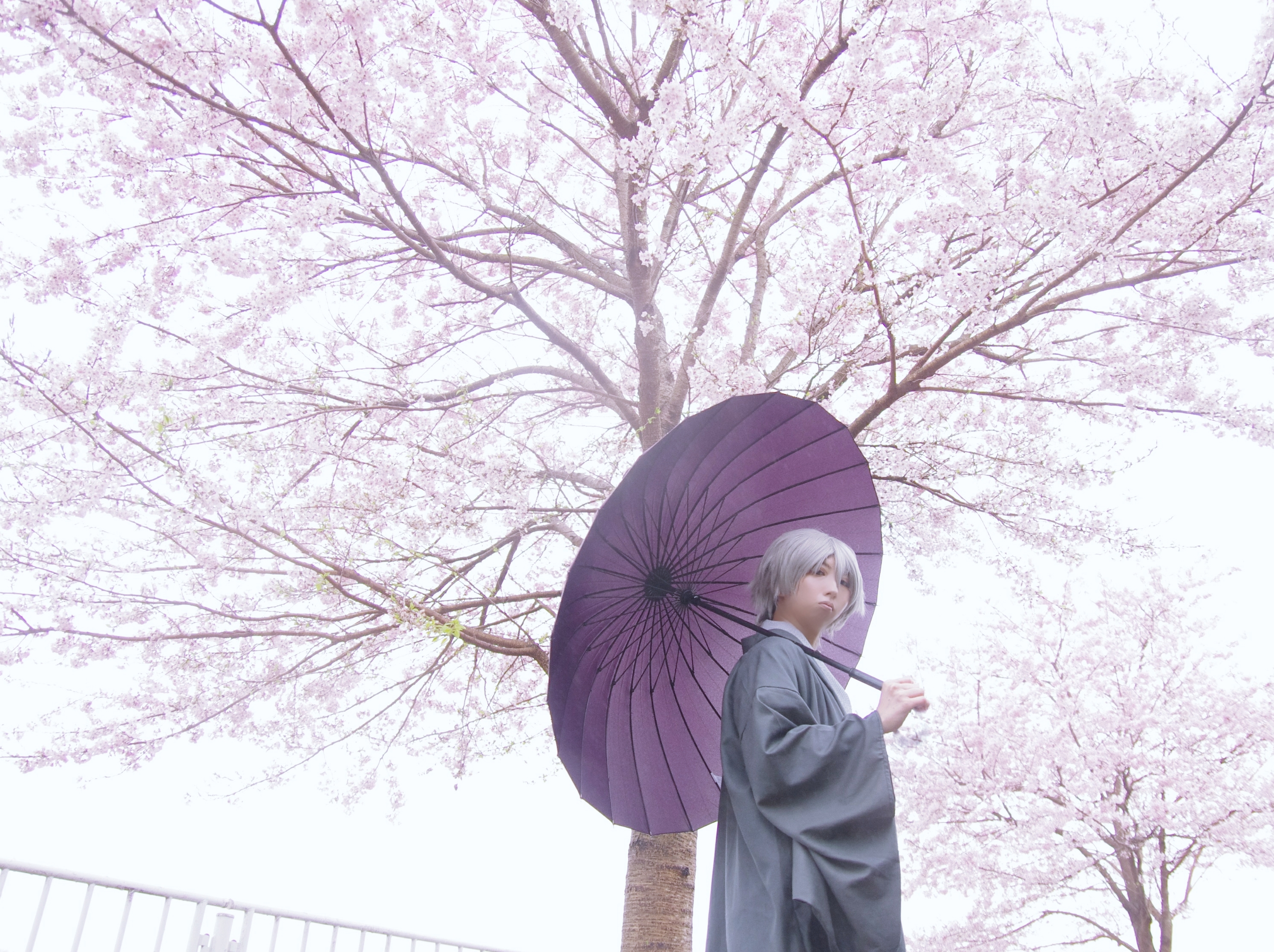 黒子のバスケ 黛千尋 京都 黒バス展 コスプレイヤーズアーカイブ