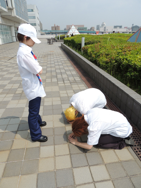 男子高校生の日常 唐沢としゆき コスプレイヤーズアーカイブ