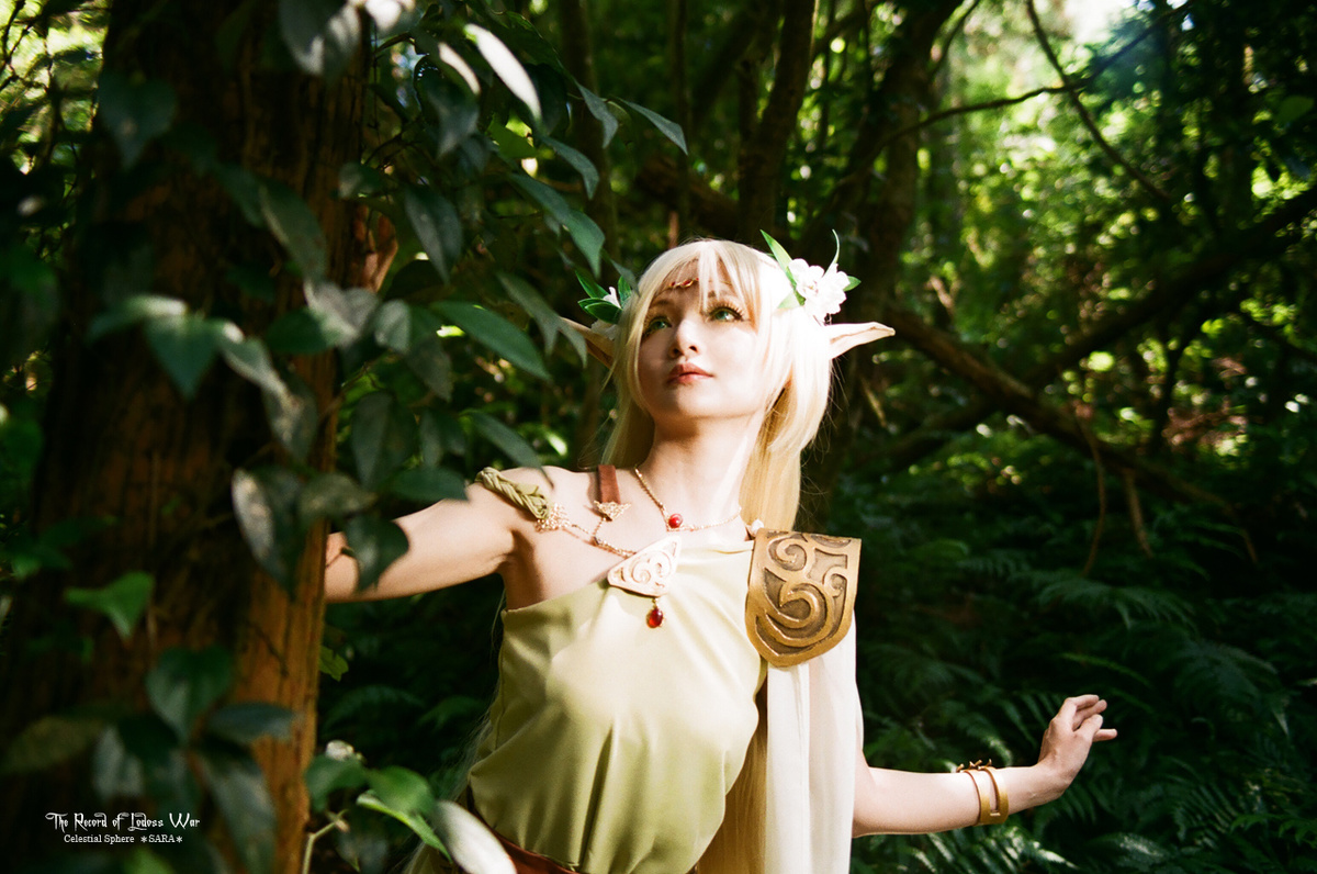 ロードス島戦記 ディードリット コスプレイヤーズアーカイブ