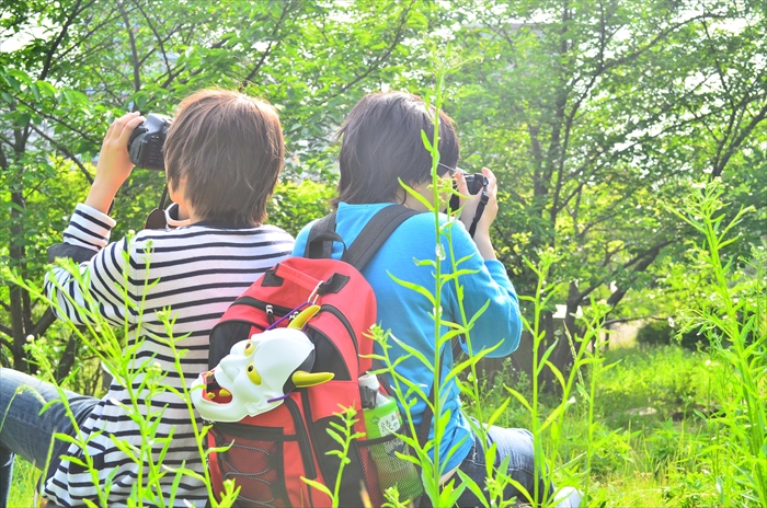 ニコニコ動画 実況プレイ Eoheoh あろまさんぽ コスプレイヤーズアーカイブ