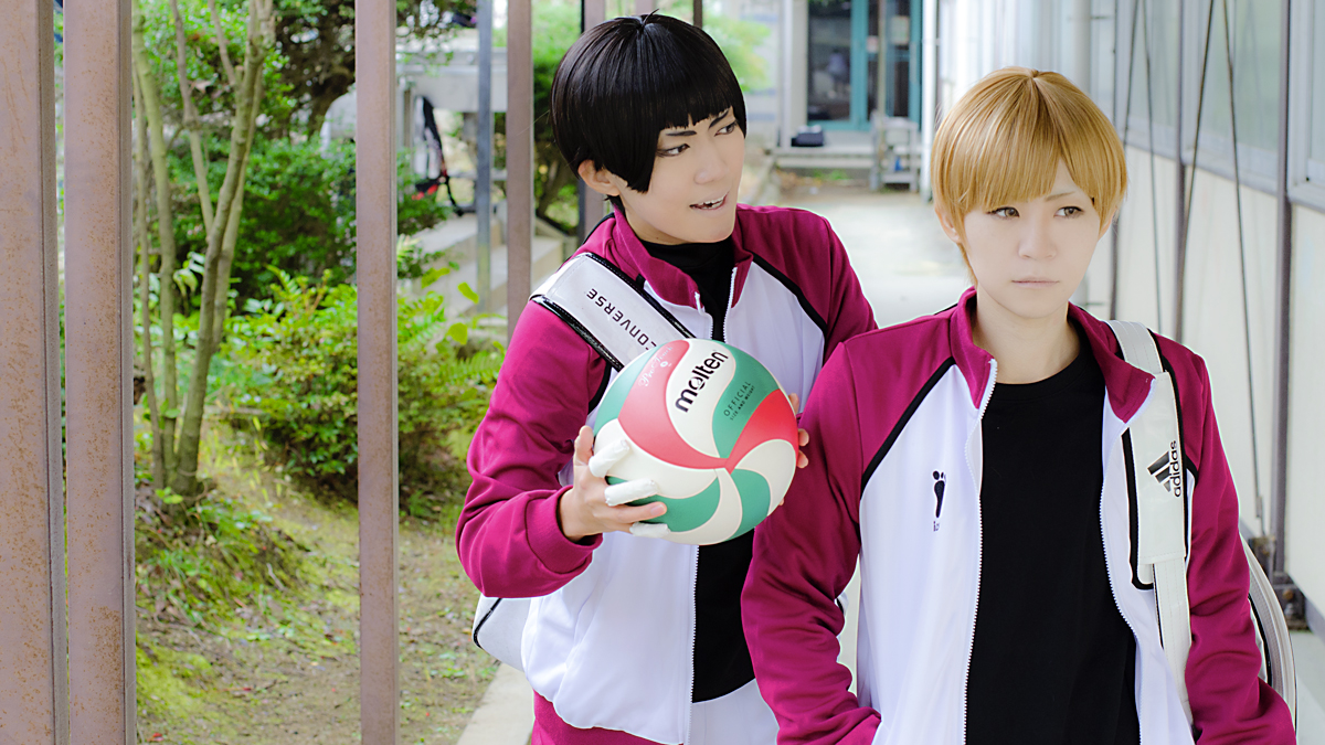 五色工 ハイキュー コスプレ 白鳥沢高校 ユニフォーム ジャージ ウィッグ Amazon.co.jp: [NOKIJP] 白鳥沢 コスプレ衣装 ジャージ
