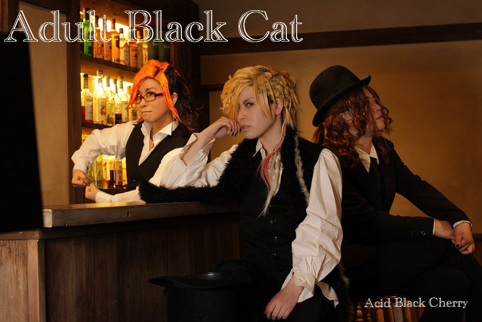 Images Of 黒猫 Adult Black Cat Japaneseclass Jp