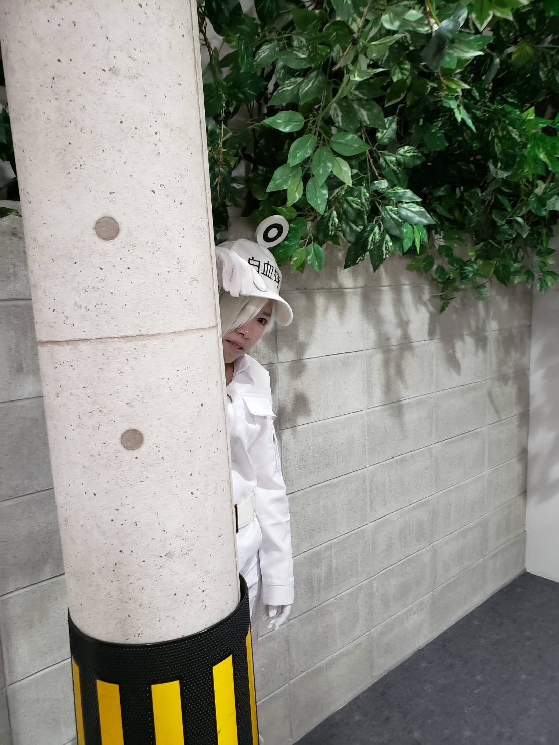 はたらく細胞 白血球 コスプレイヤーズアーカイブ