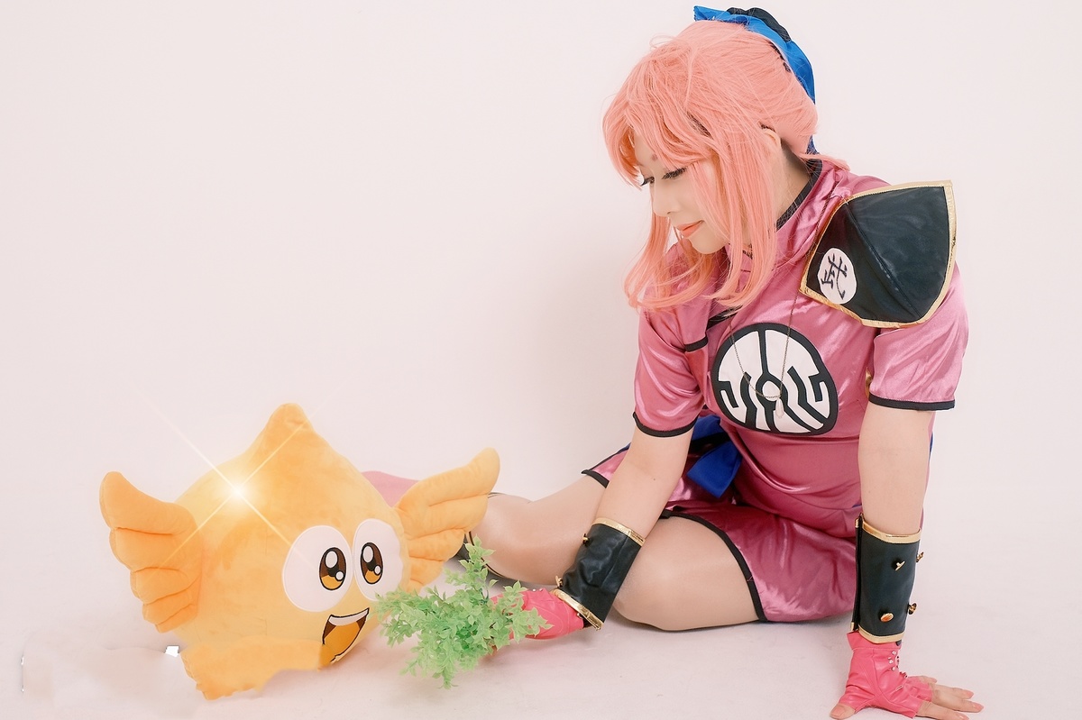 ドラゴンクエスト ダイの大冒険 マァム(武闘家) - コスプレ