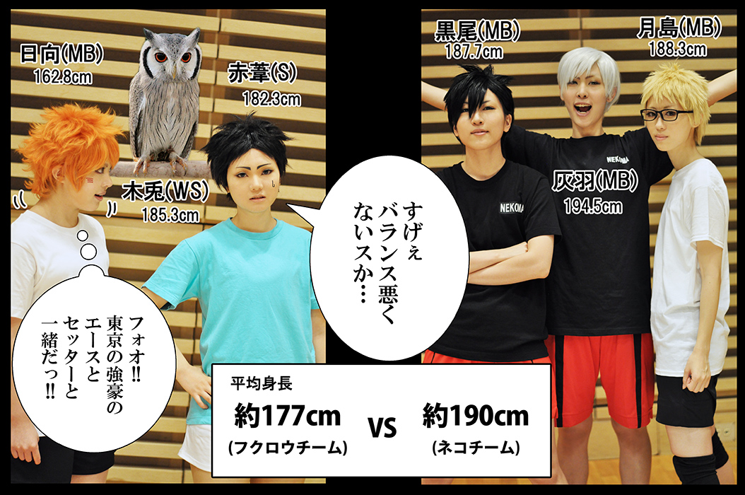 ハイキュー!! 赤葦京治(練習着) - コスプレイヤーズアーカイブ