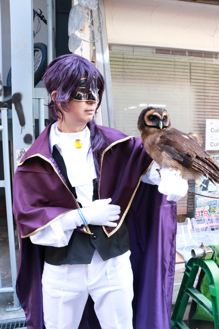 妖狐 僕ss 青鬼院蜻蛉 コスプレイヤーズアーカイブ