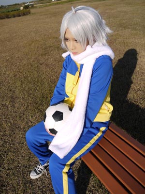 イナイレ吹雪 吹雪 士郎 コスプレ パープル 群青 グレー ウィッグ 吹雪