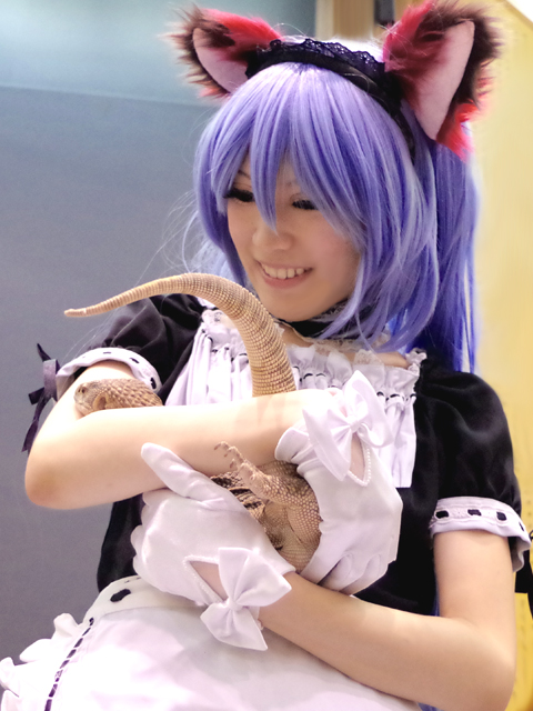 (E24) TERA エリーン  コスプレ 衣装 コスチューム E24) TERA エリーン コスプレ 衣装 コスチューム