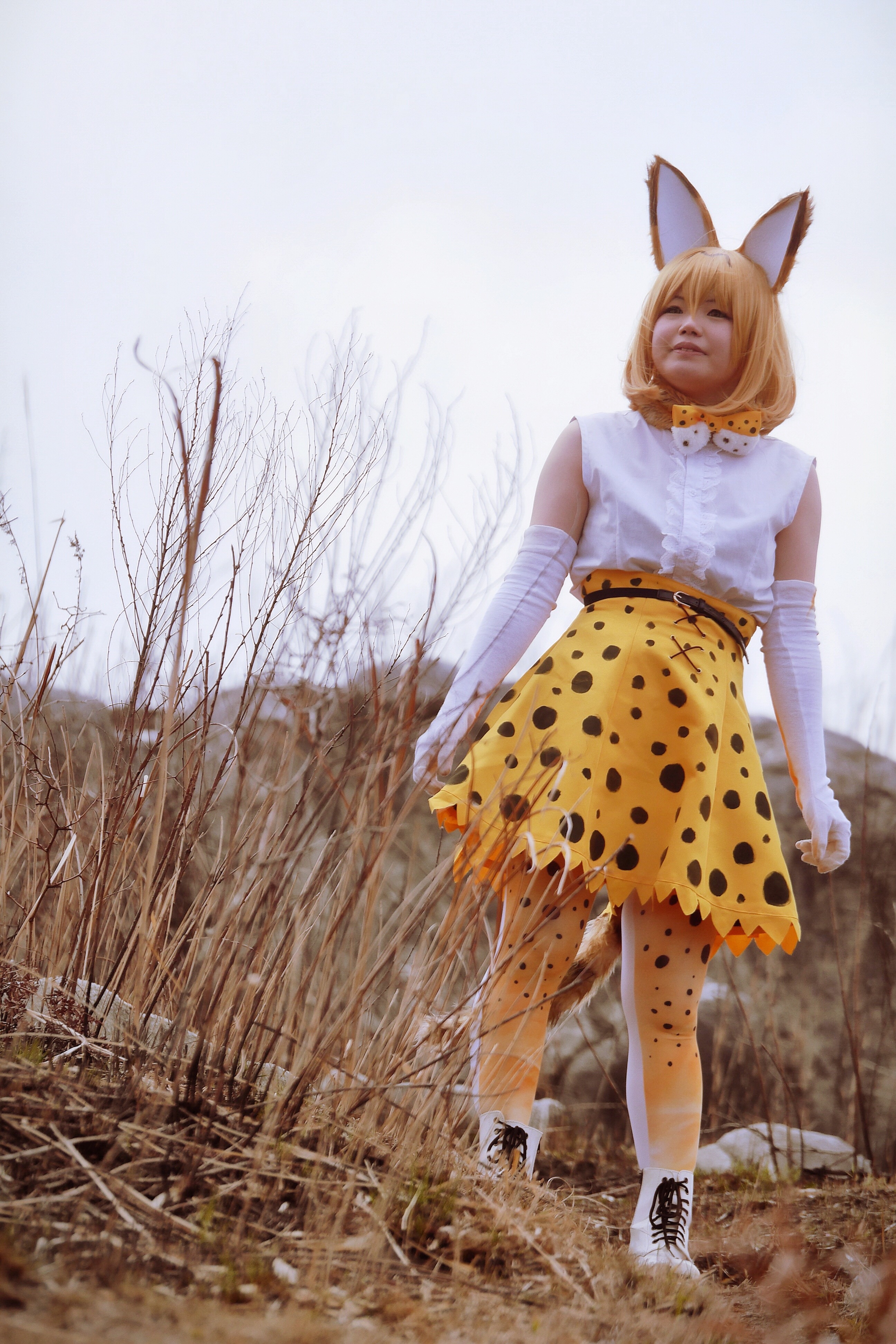 けものフレンズ サーバル - コスプレイヤーズアーカイブ