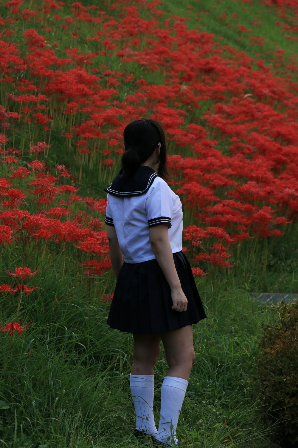 セーラー服 セーラー服 ポートレート コスプレイヤーズアーカイブ