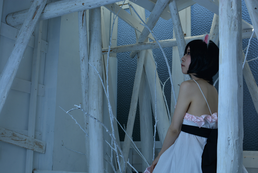 猫物語 羽川翼 つばさタイガーop衣装 コスプレイヤーズアーカイブ