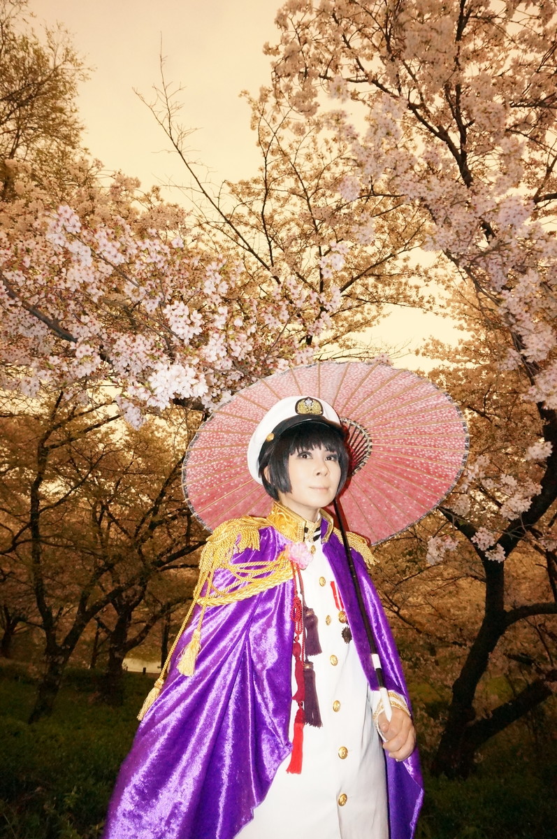 ヘタリア 日本 本田菊 キャラクターcd ジャケット コスプレイヤーズアーカイブ