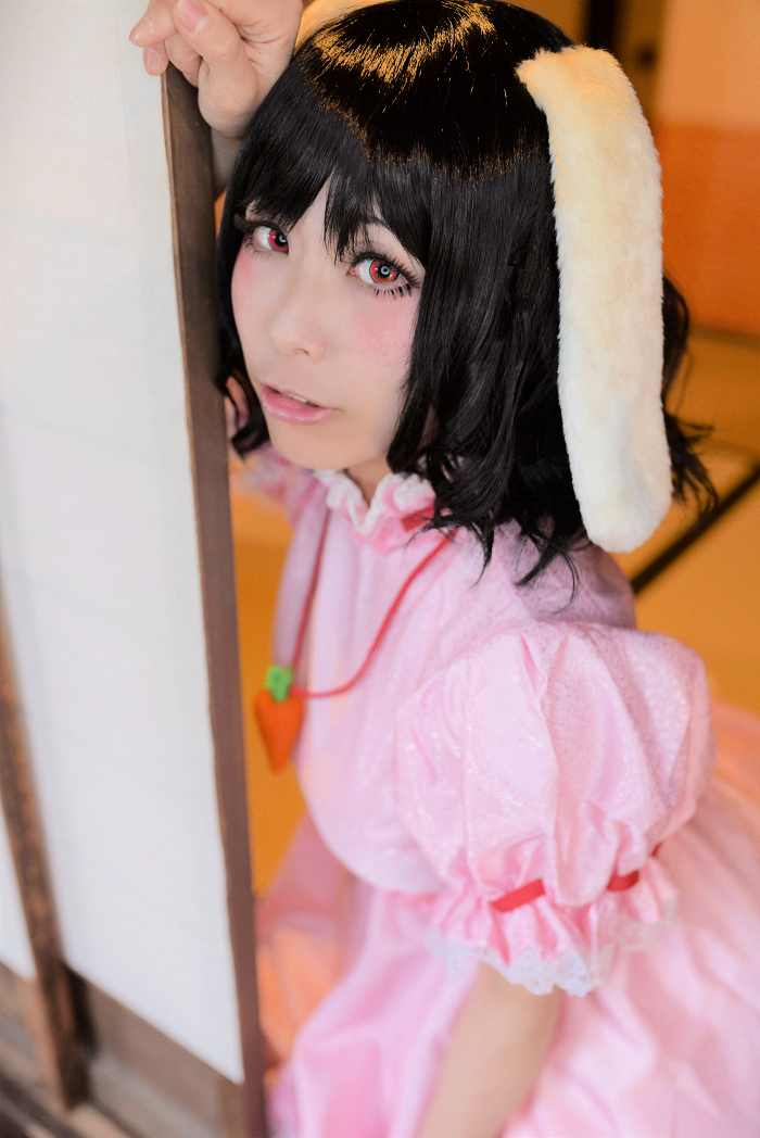 東方Project 因幡てゐ - コスプレイヤーズアーカイブ