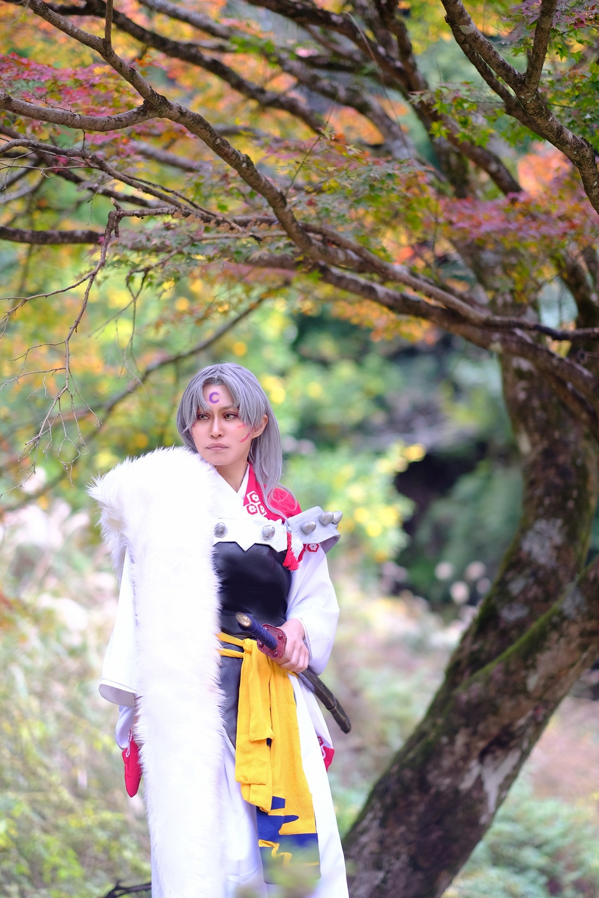 犬夜叉 殺生丸 コスプレイヤーズアーカイブ