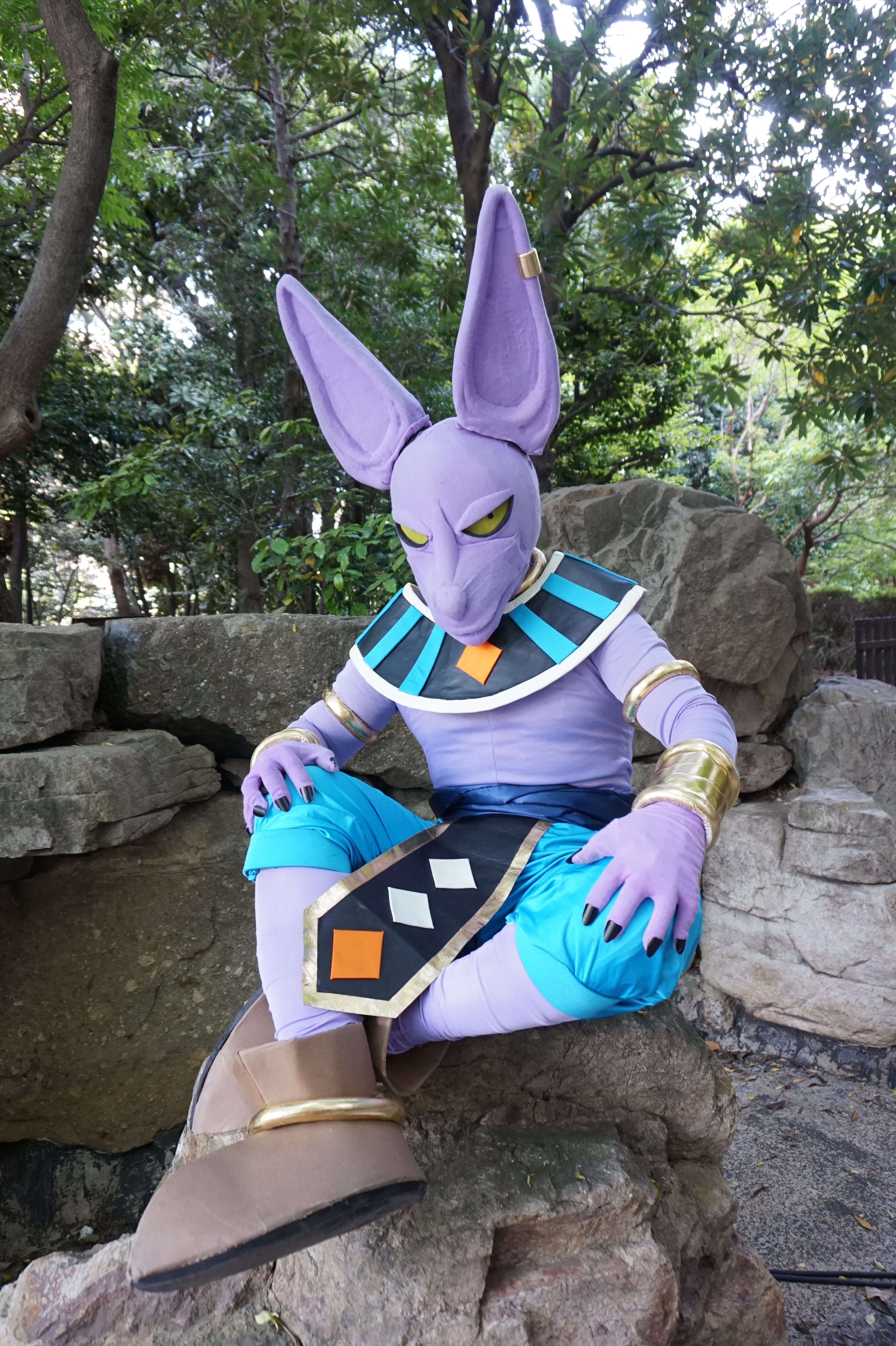 ドラゴンボール ビルス コスプレイヤーズアーカイブ ドラゴンボール ビルス コスプレイヤーズアーカイブ