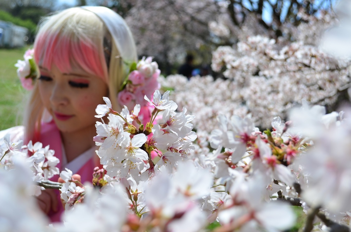 鬼灯の冷徹 木花咲耶姫 サクヤ姫 コスプレイヤーズアーカイブ