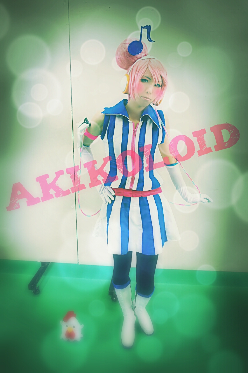 Vocalawson あきこロイドちゃん コスプレイヤーズアーカイブ