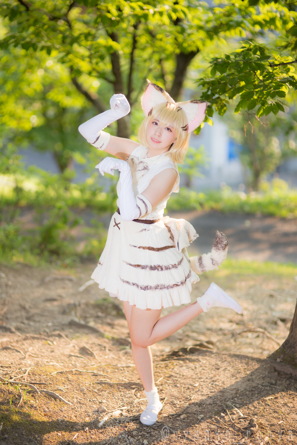 けものフレンズ スナネコ コスプレイヤーズアーカイブ