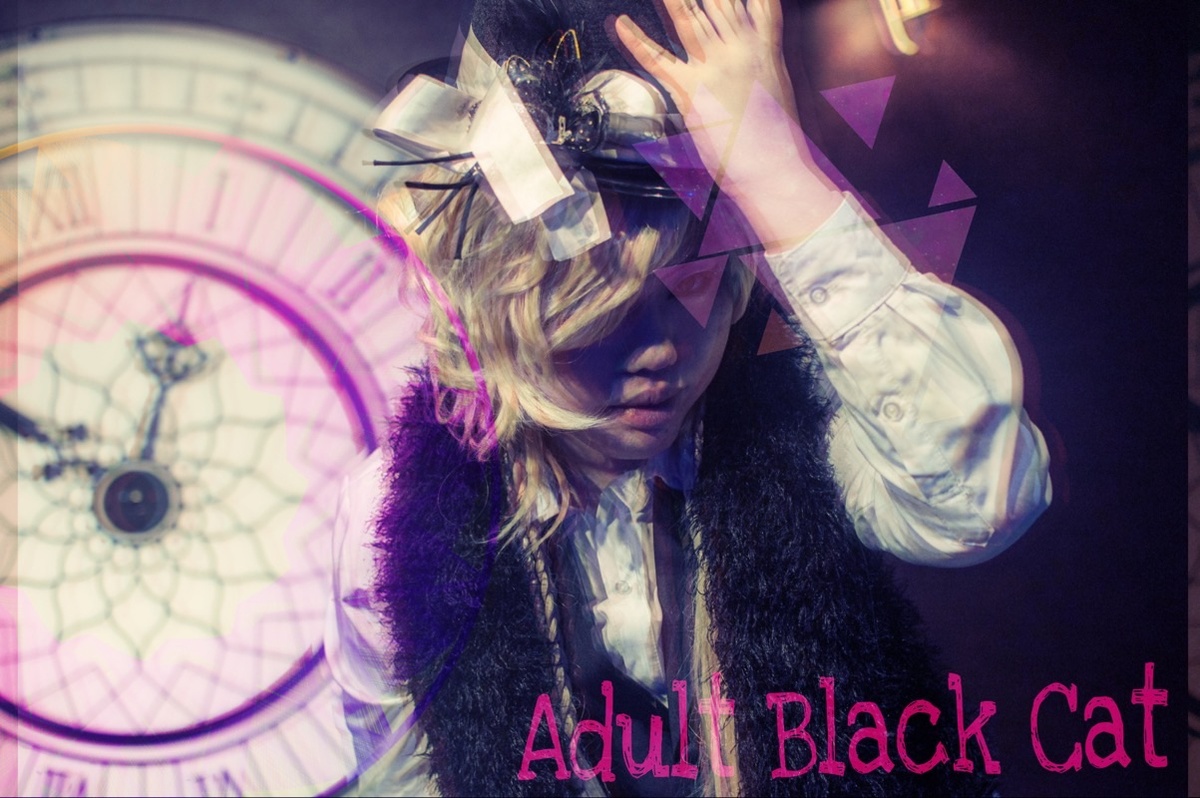 Acid Black Cherry Yasu 黒猫 Adult Black Cat コスプレイヤーズアーカイブ