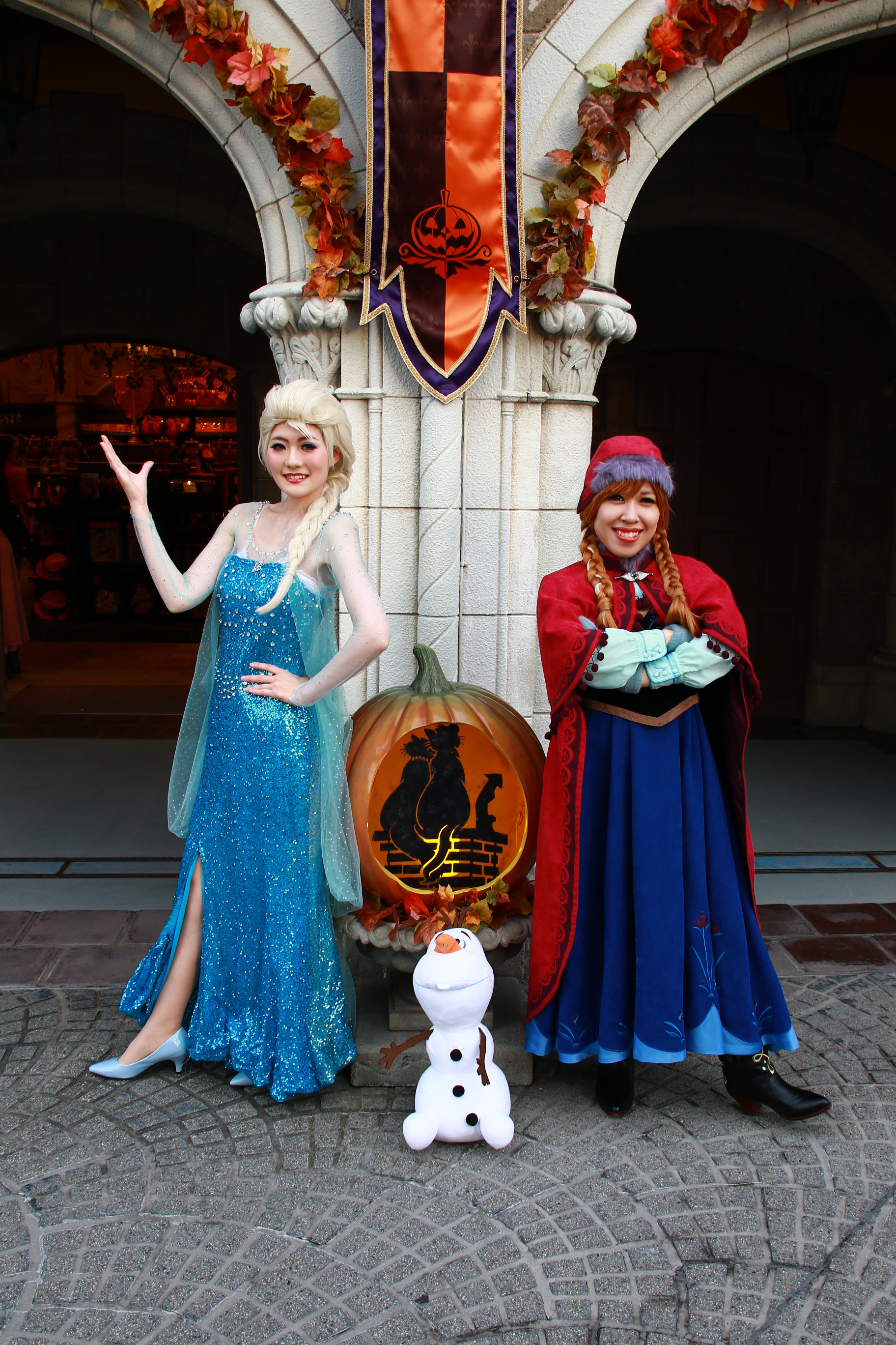 エルサ アナと雪の女王 ディズニープリンセス コスプレ ウィッグ Dハロ