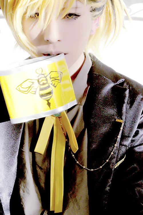 夢王国と眠れる100人の王子様 アピス 月覚醒 コスプレイヤーズアーカイブ