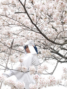 錫高野与四郎のコスプレ写真 落第忍者乱太郎 忍たま乱太郎 コスプレイヤーズアーカイブ